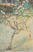 Flowering Pear-Tree, Vincent Van Gogh